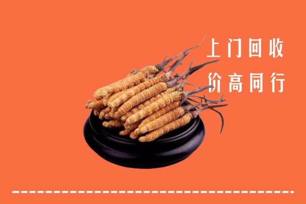 高价求购：昭通市昭阳区回收散虫草