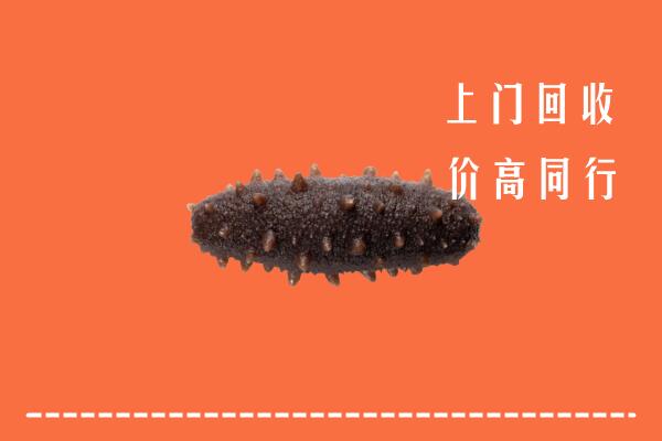 昭通市昭阳区回收海参