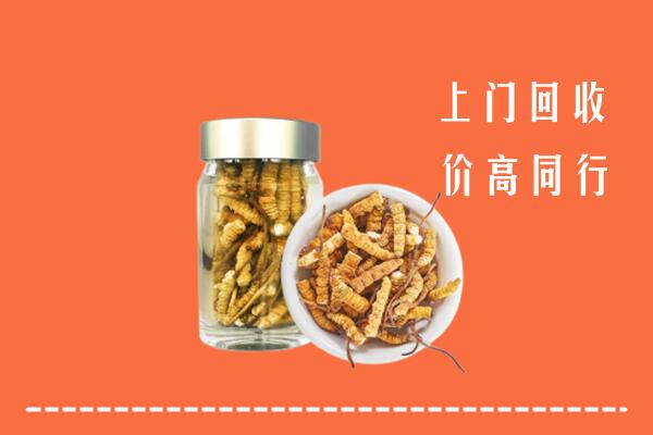 昭通市昭阳区回收冬虫夏草