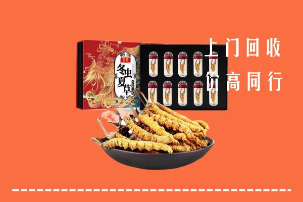 昭通市昭阳区回收虫草
